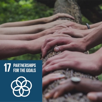 partnerships-350x350-1