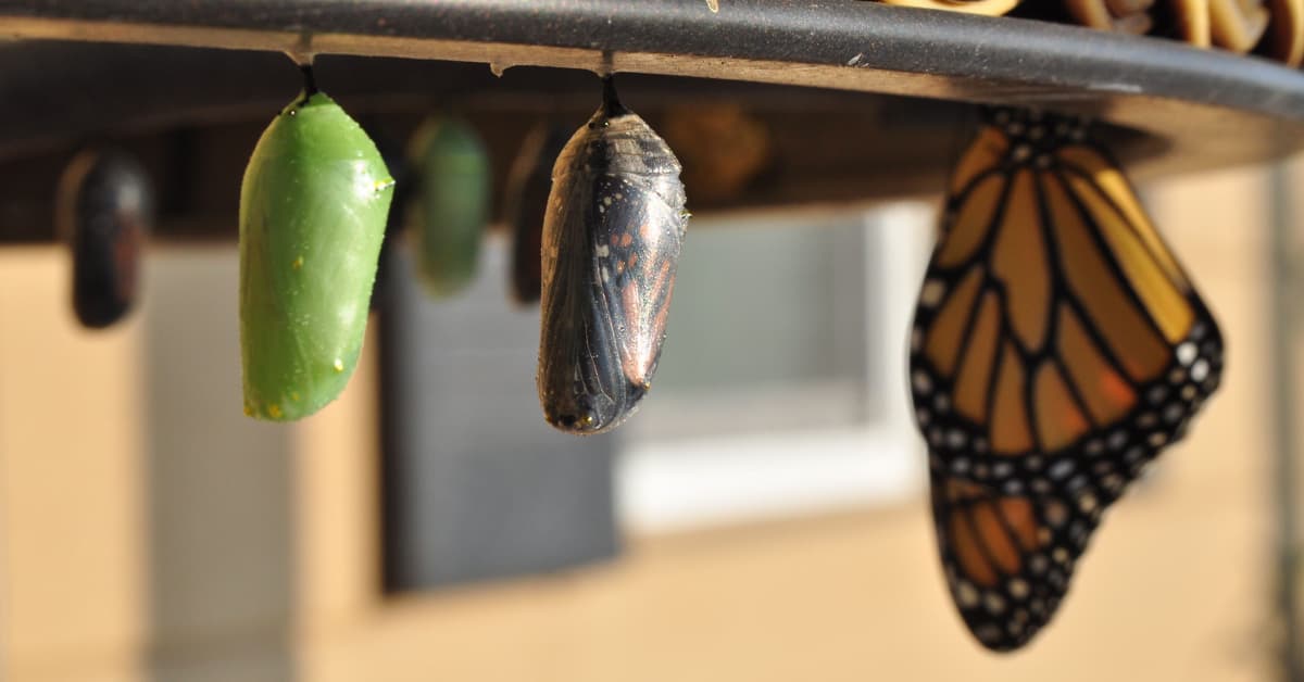 5-razones-necesitas-consultoria-agilidad-empresarial